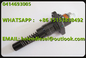 New Original 0414693005 Bosch Fuel Pump 0414693002, Deutz KHD Fuel Pump 02113694 / 04290102 / FFM1C90S2005 supplier